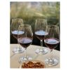 Plastic Wine Glasses Set of 4 (20oz), BPA Free Tritan Wine Glass Set, Unbreakable Red Wine Glasses, White Wine Glasses